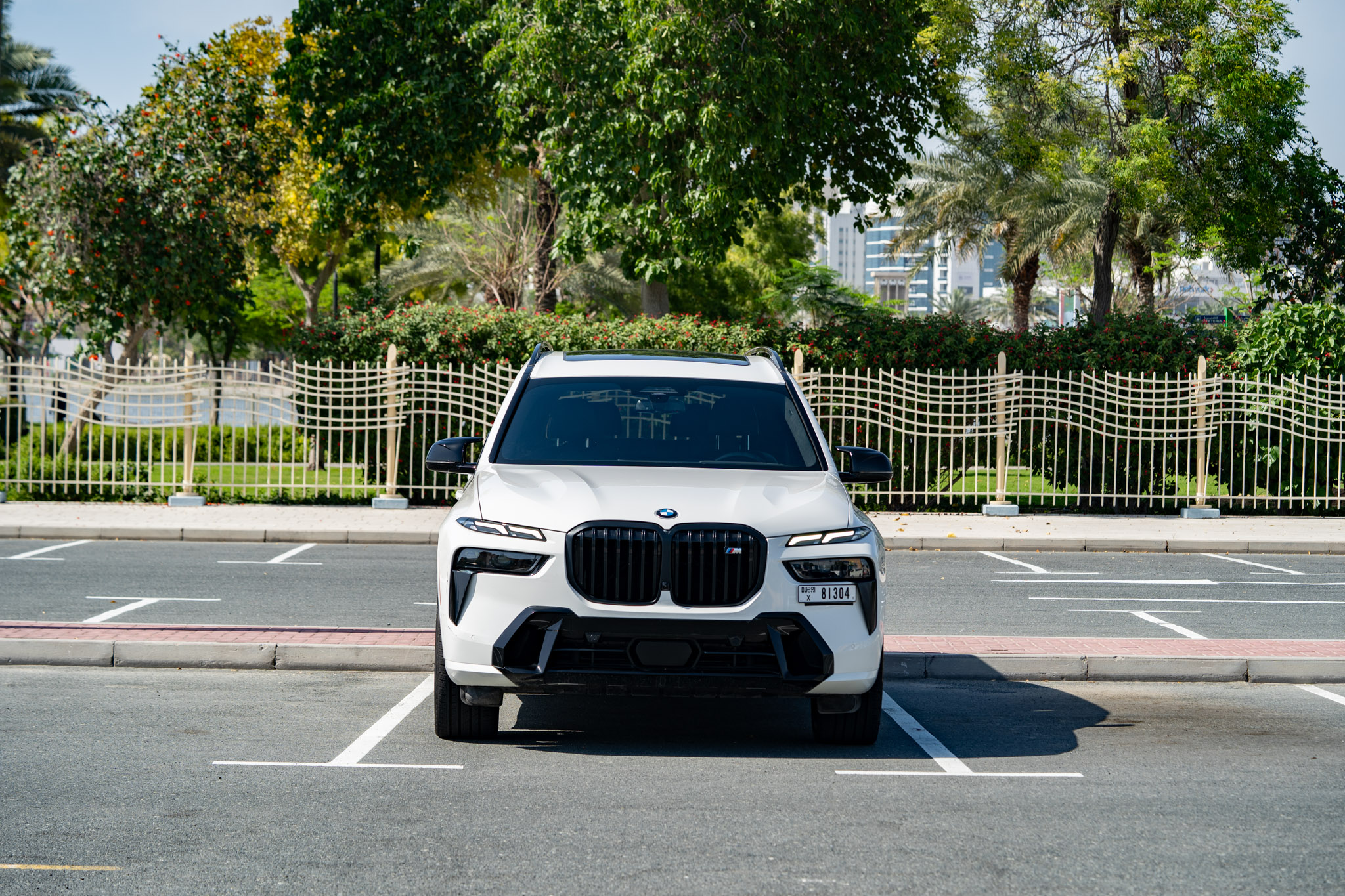 BMW X7 - Image 6